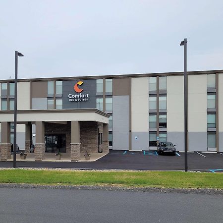 Comfort Inn & Suites Wyomissing-Reading Экстерьер фото