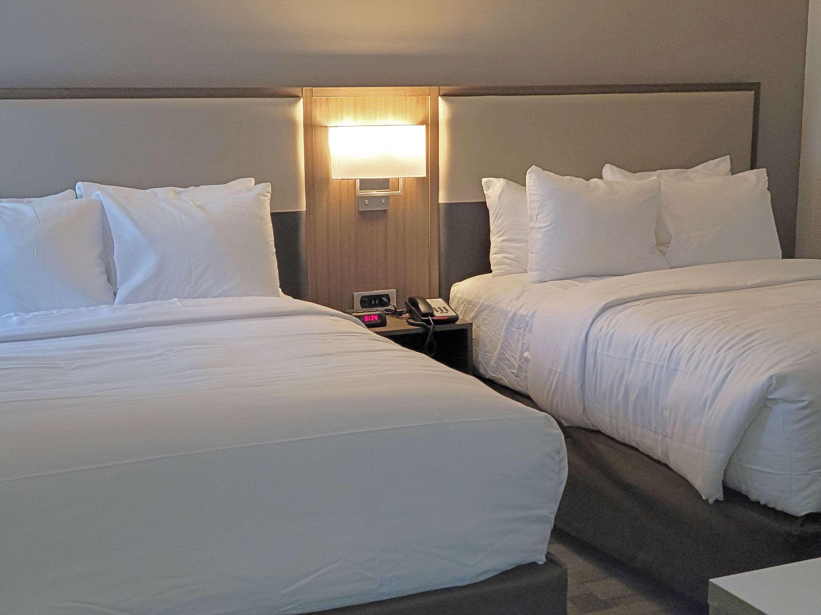 Comfort Inn & Suites Wyomissing-Reading Экстерьер фото